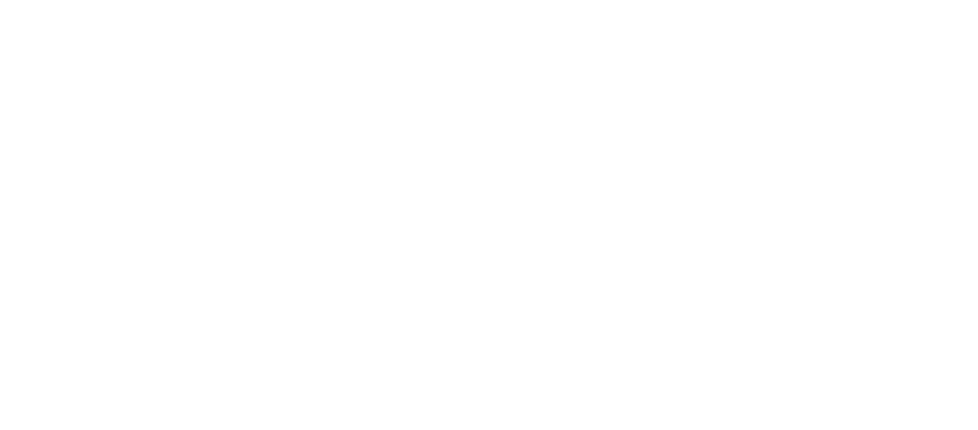 Vidya Learning - Professional Tutoring Services